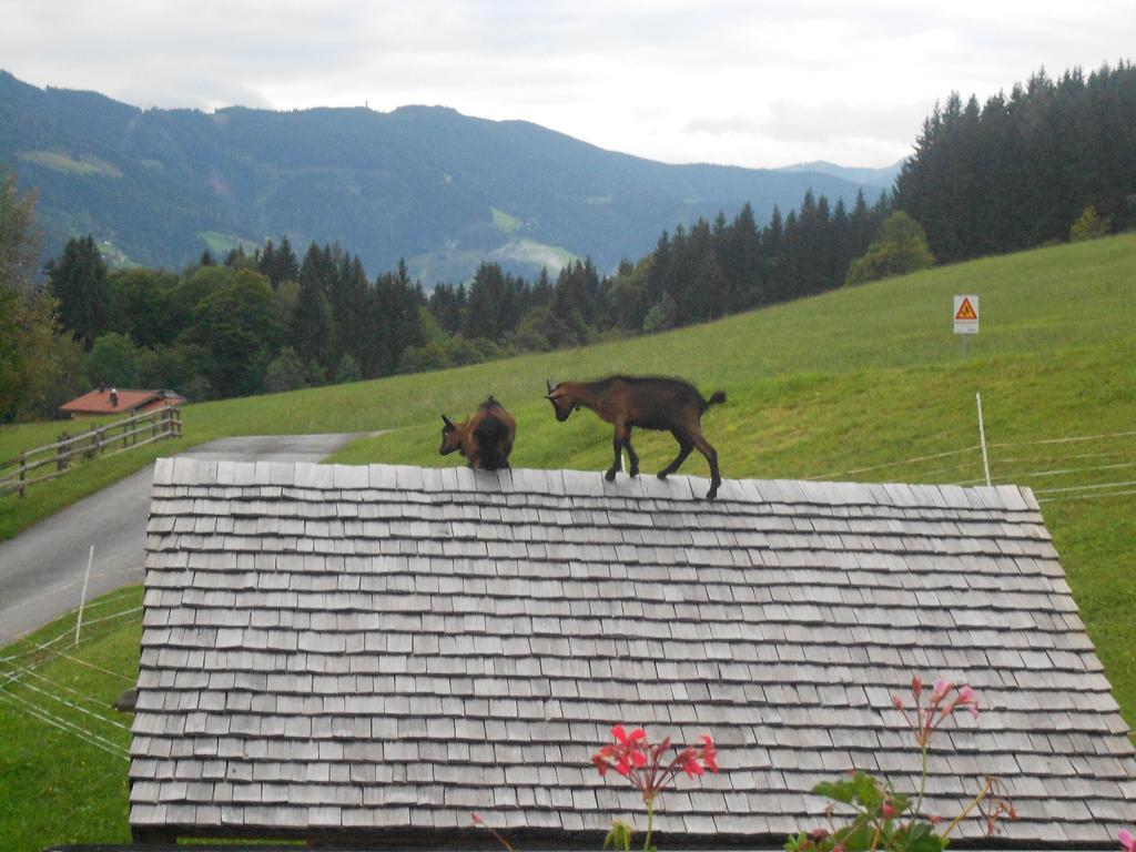 Ferienwohnung Mairhofer Bischofshofen Zimmer foto